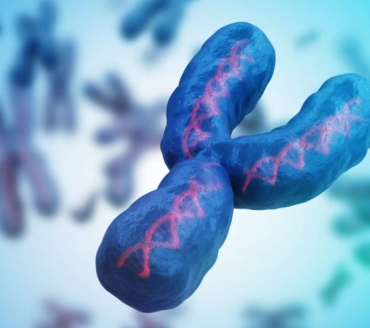 Microdelezioni del Cromosoma Y
